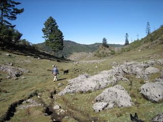 Cuchumatanes
