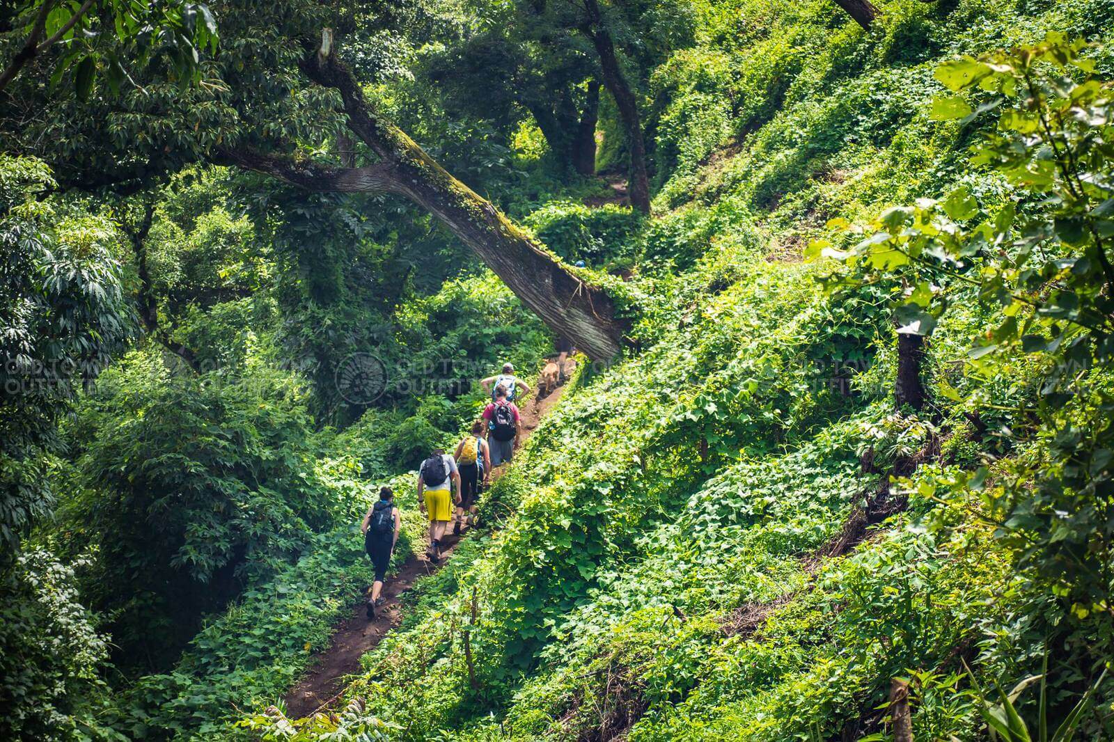 Earth Walk Hike Up