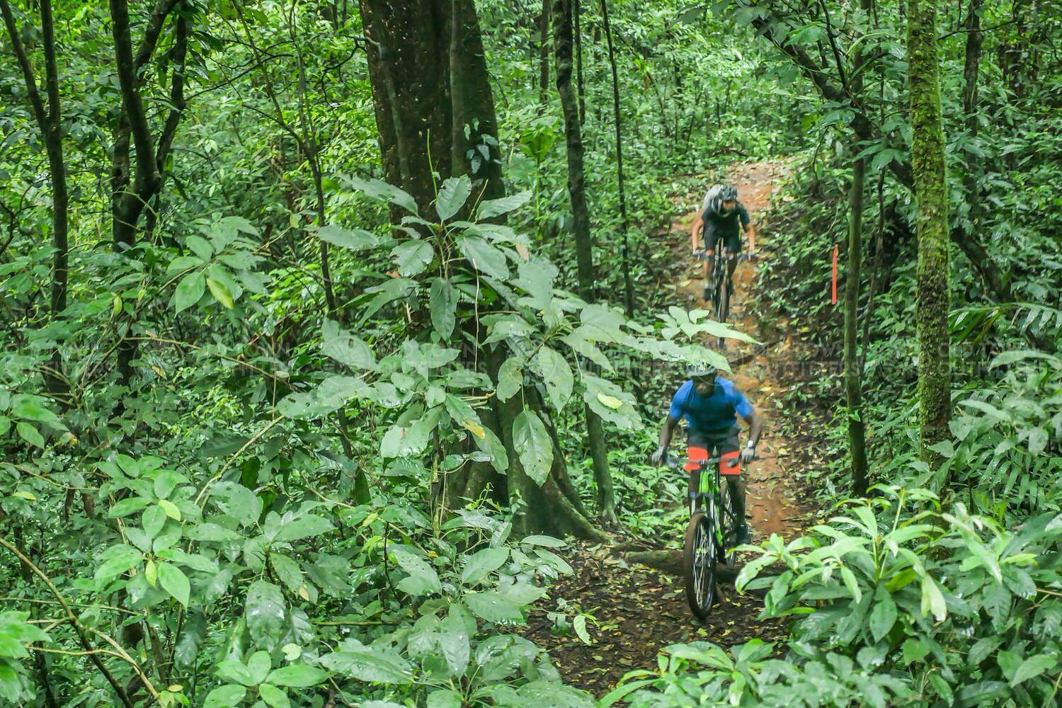 El Zur trail