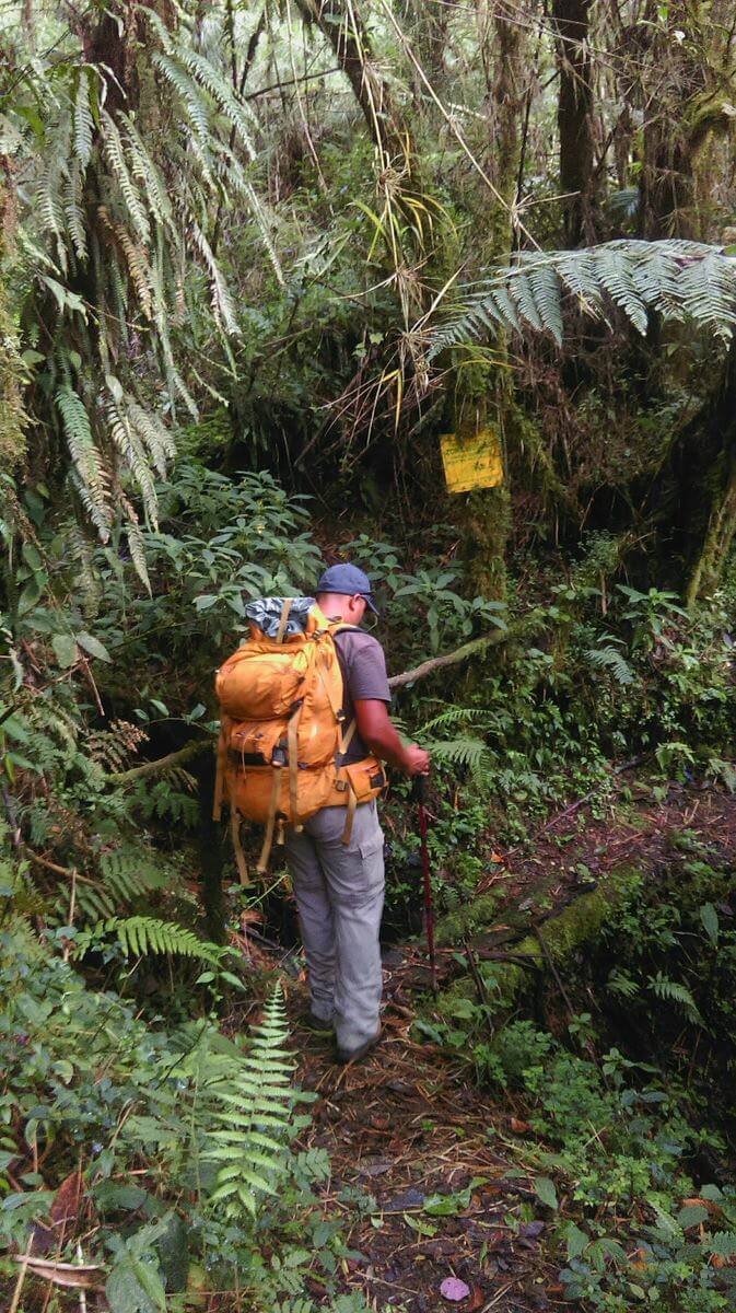 Sierra Las Minas Backpacker
