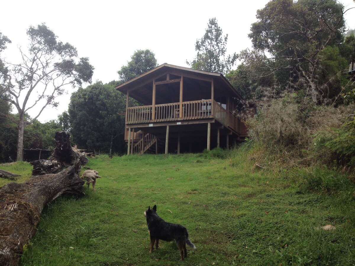 Sierra Las Minas Cabin