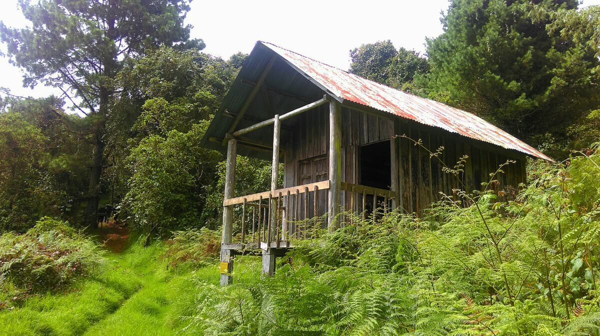 Sierra Las Minas Cabin2