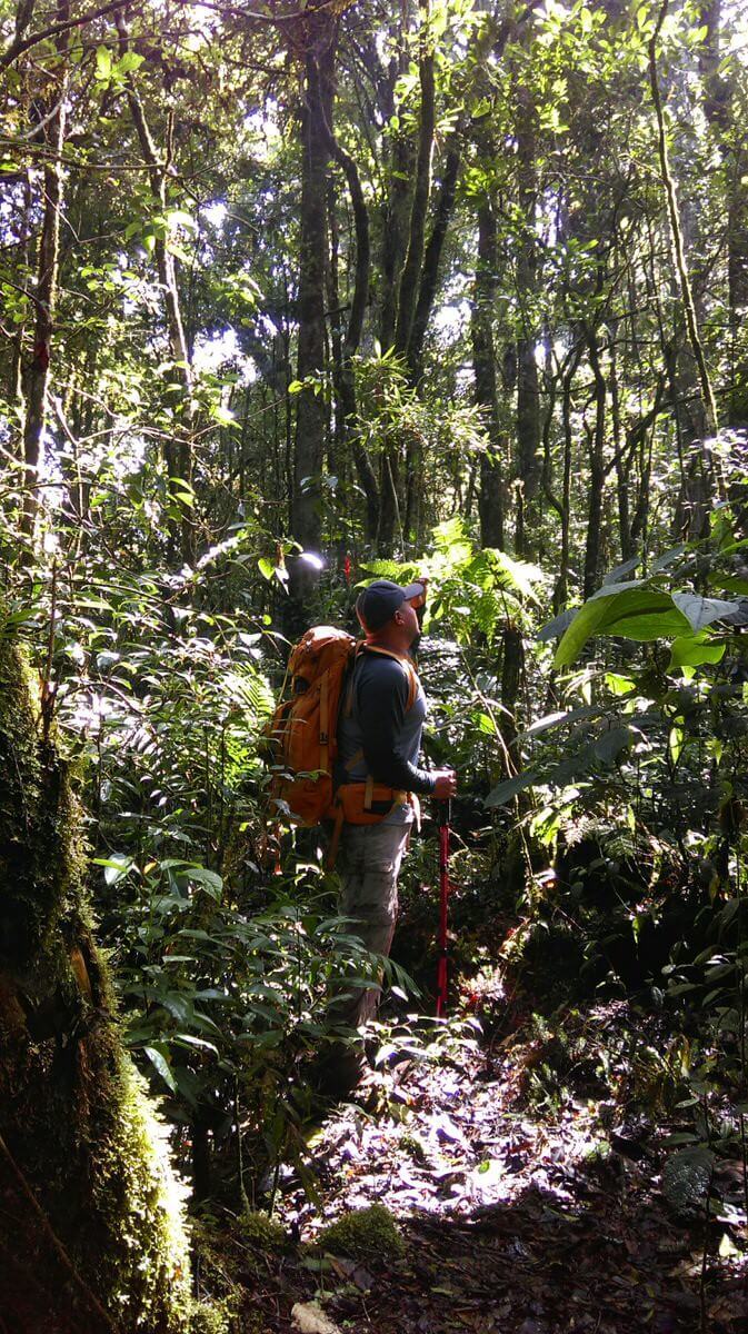 Sierra Las Minas Hiker