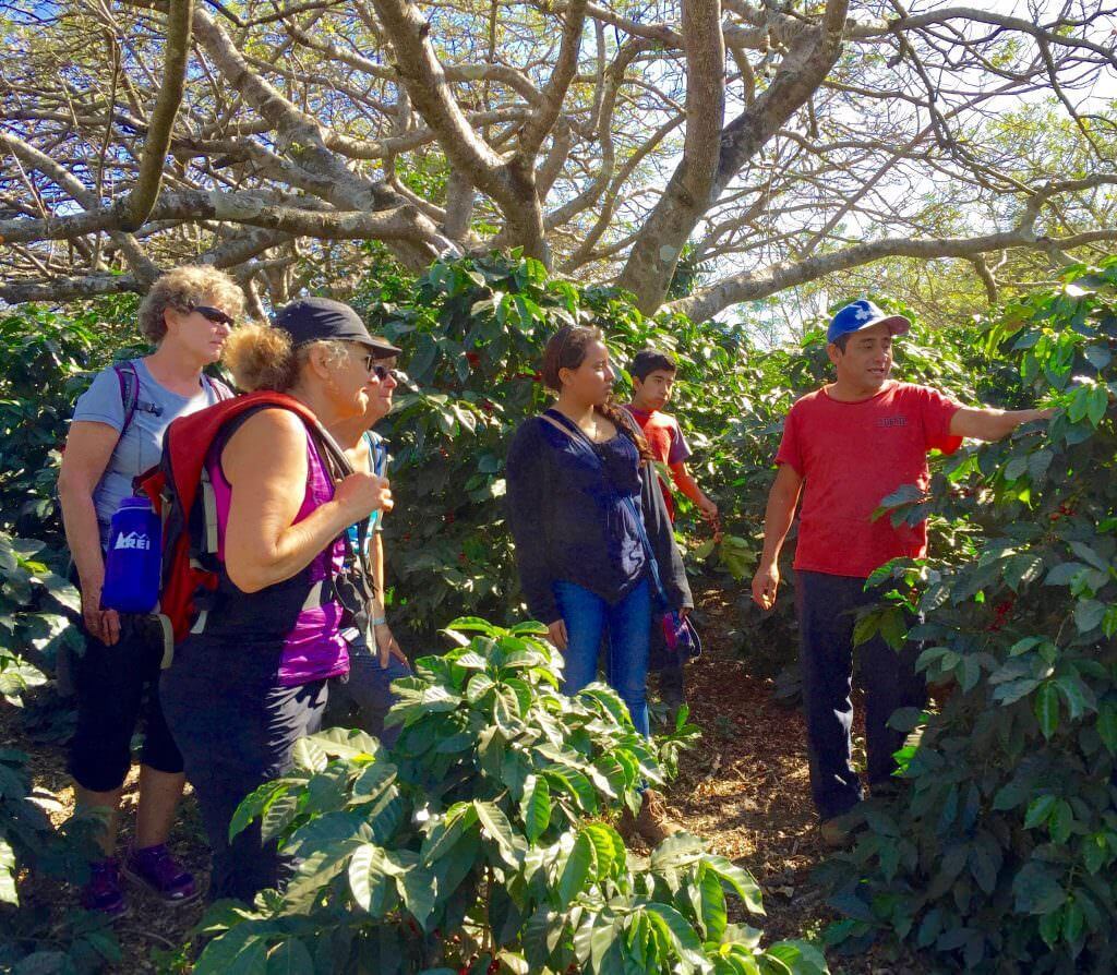 Sip n Cycle Coffee Tour
