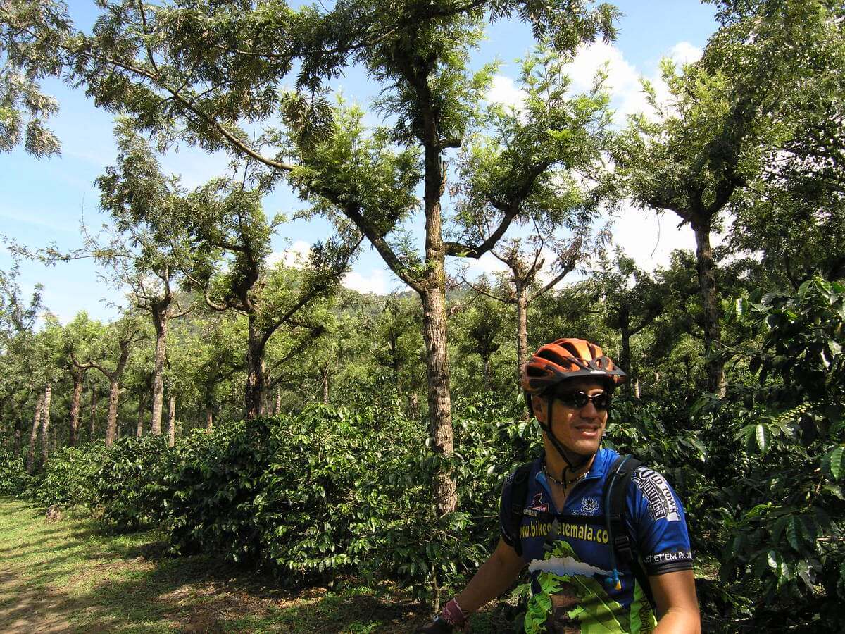 Sip n Cycle Coffee Trail
