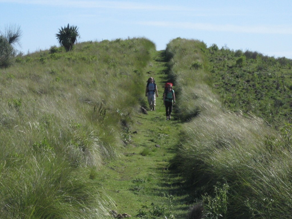 WMHT Grassy Trail