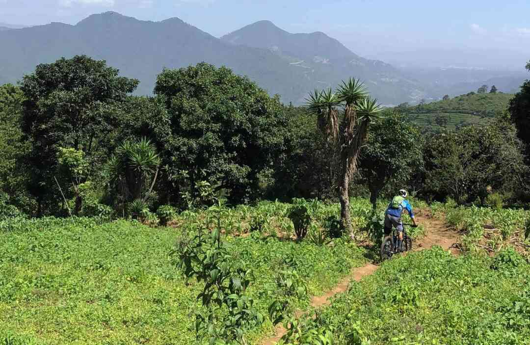 Pillars of heaven trail feature