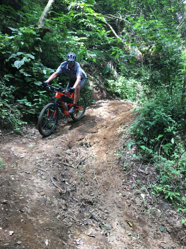 Pillars of heaven ride forest