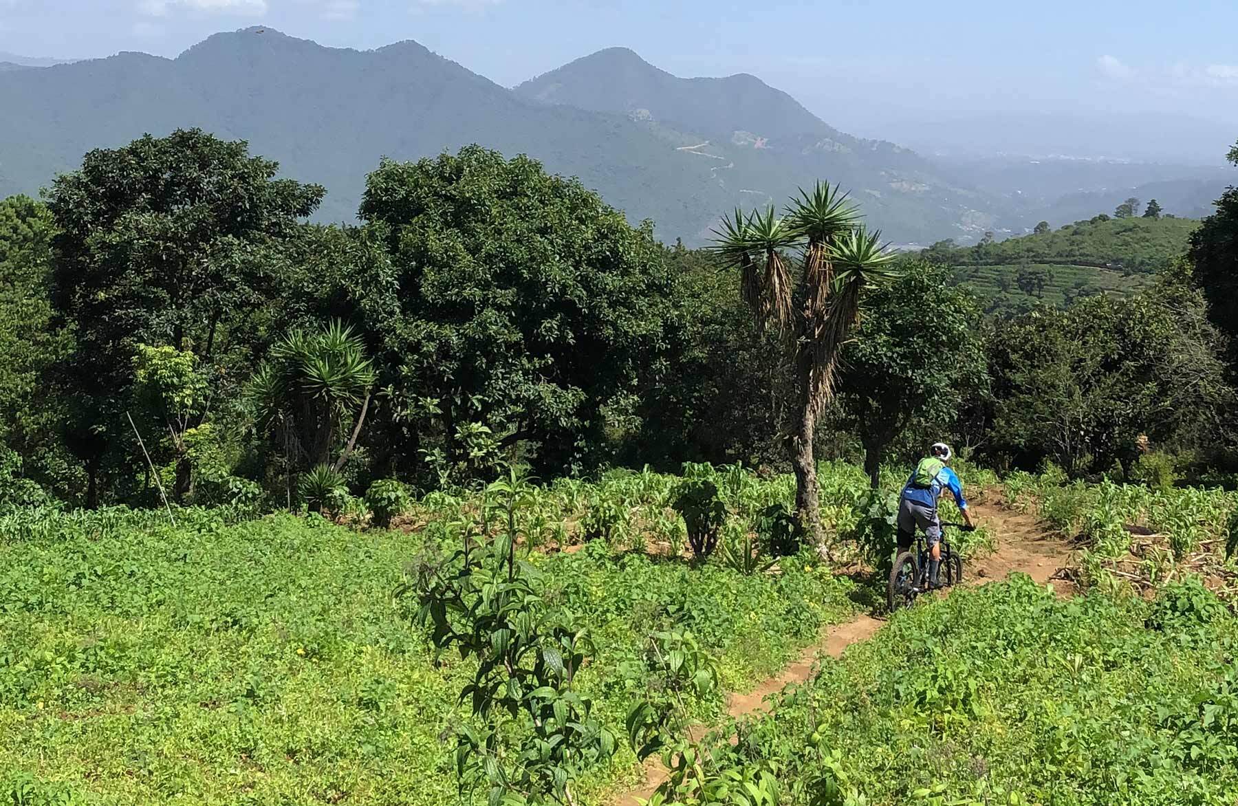 Pillars of heaven trail feature